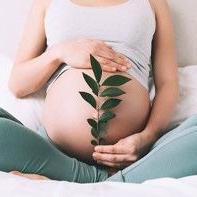 Test Panorama: chromosomy 13, 18, 21, X i Y, triploidia, zespół Di George'a
