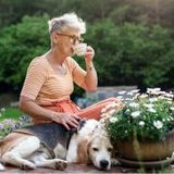 Vaccination package against tick-borne encephalitis- adults