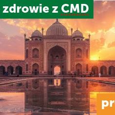 Travel medicine vaccination package - Indian Peninsula with consultation