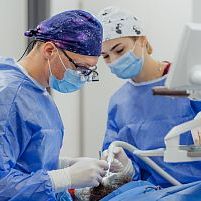 Dental surgery consultation