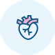 Holter RR