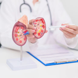 Konsultacja urologa z USG układu moczowego